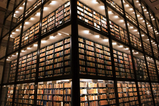 beinecke photo