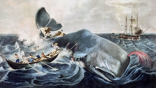 moby dick painting